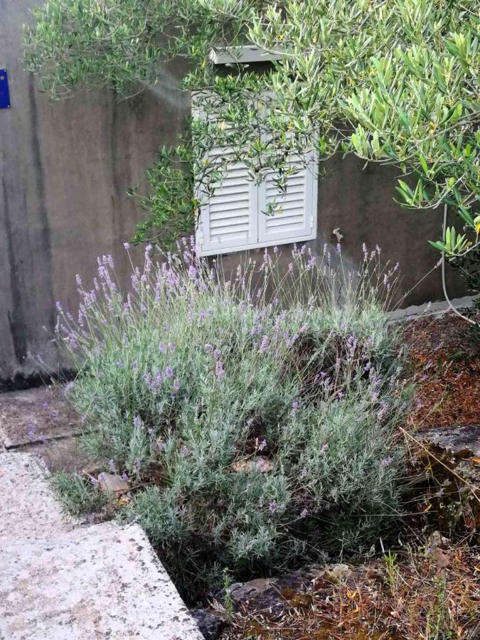 Beach House Olea Apartment Blazevo Bagian luar foto